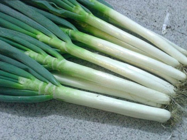 長豐1號(hào)